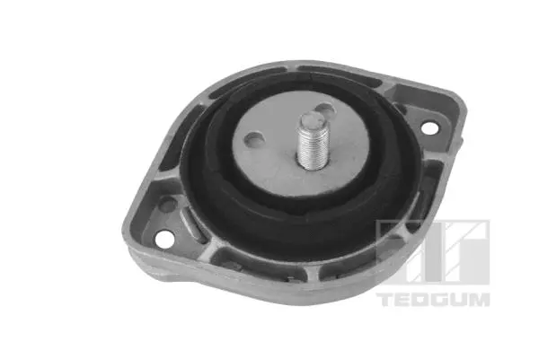 Variklio montavimas TEDGUM 00088692