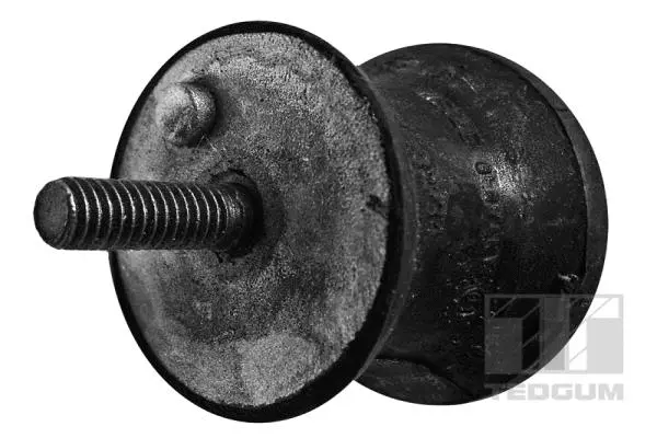Variklio montavimas TEDGUM 00089641