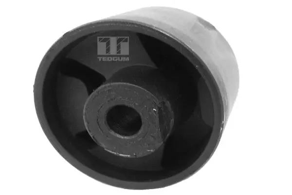 Variklio montavimas TEDGUM 00133211
