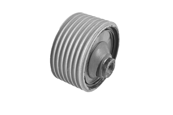 Variklio montavimas TEDGUM 00135541