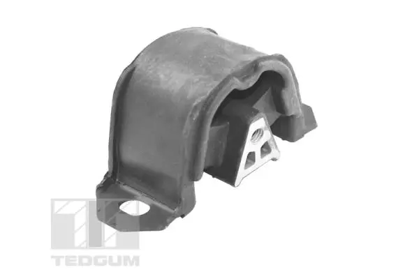Variklio montavimas TEDGUM 00162110