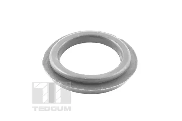 Pakabos statramsčio guolio tarpinė TEDGUM 00164841