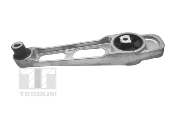 Variklio montavimas TEDGUM 00199888