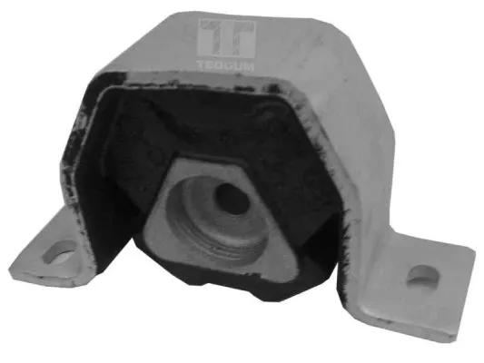 Variklio montavimas TEDGUM 00212975