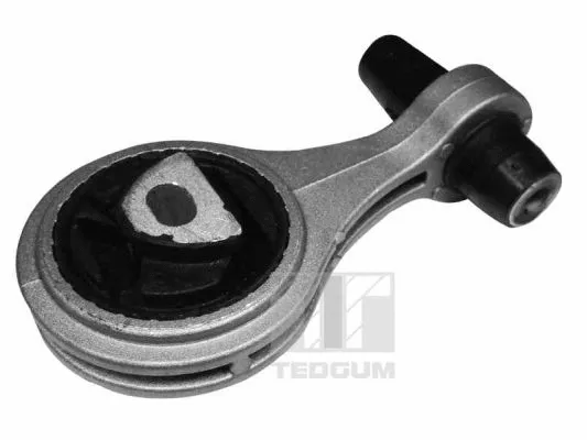 Variklio montavimas TEDGUM 00215777