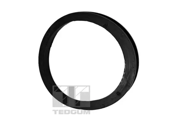 Pakabos statramsčio guolio tarpinė TEDGUM 00217006