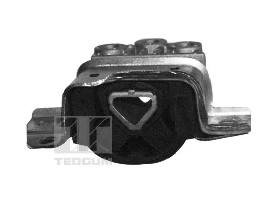 Variklio montavimas TEDGUM 00219579