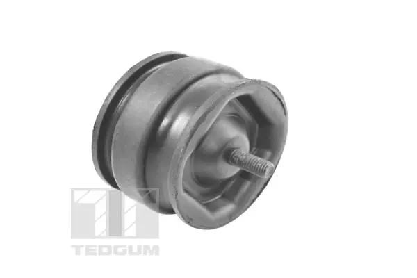 Variklio montavimas TEDGUM 00221175