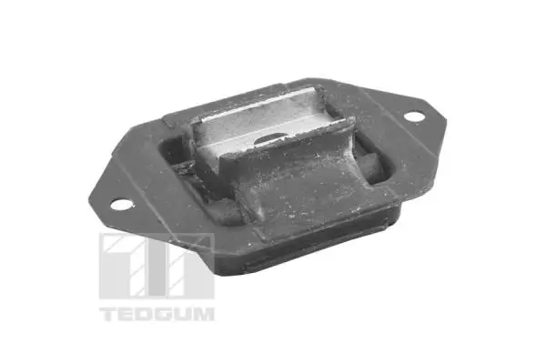 Automatinės transmisijos montavimas TEDGUM 00221234