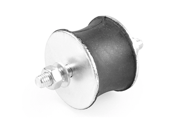 Variklio montavimas TEDGUM 00221585