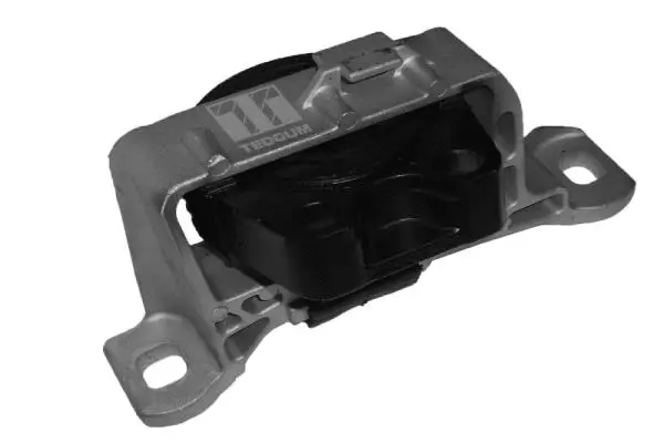 Variklio montavimas TEDGUM 00221651