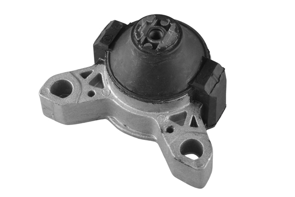 Variklio montavimas TEDGUM 00222724