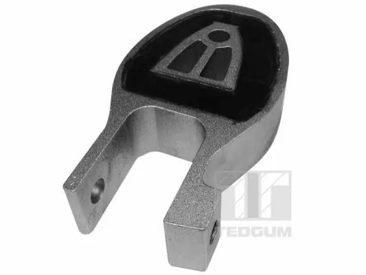 Variklio montavimas TEDGUM 00225654