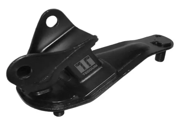 Variklio montavimas TEDGUM 00260929