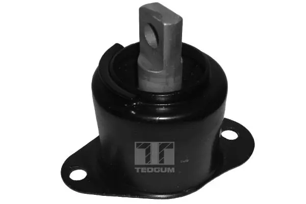 Variklio montavimas TEDGUM 00260934