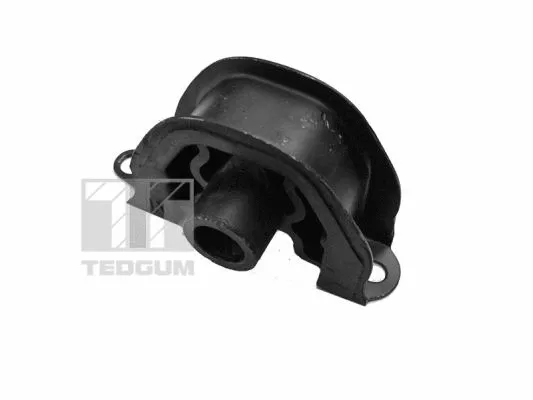 Variklio montavimas TEDGUM 00261964