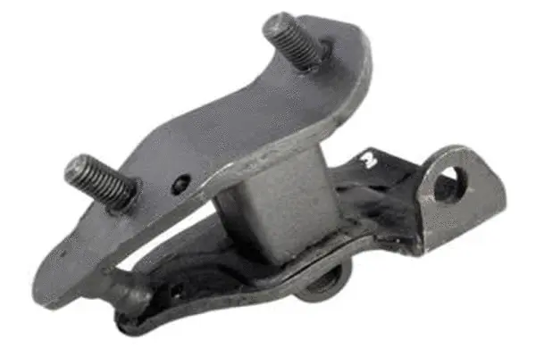 Variklio montavimas TEDGUM 00262047