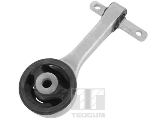 Variklio montavimas TEDGUM 00263046