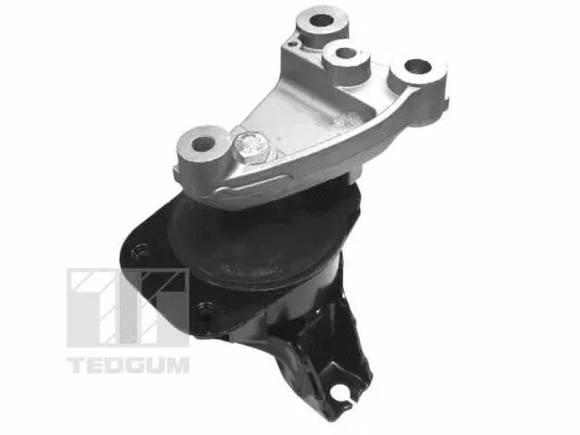 Variklio montavimas TEDGUM 00263047