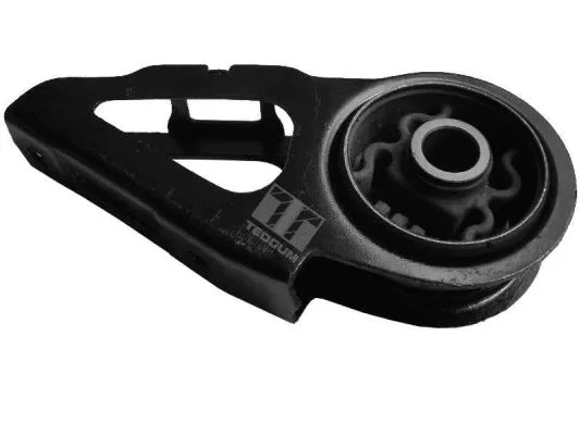 Variklio montavimas TEDGUM 00263060