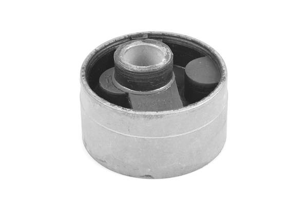 Variklio montavimas TEDGUM 00263368