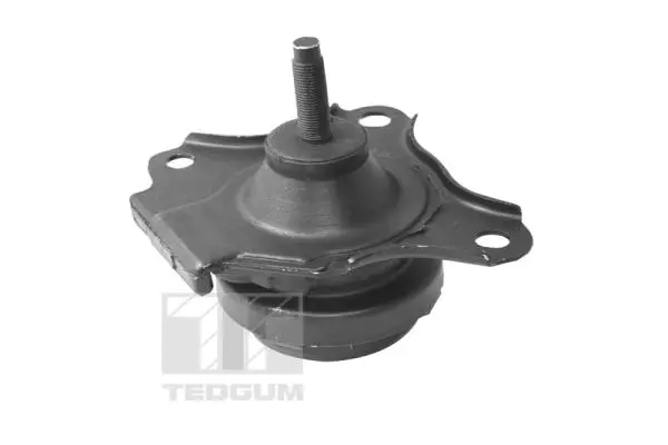 Variklio montavimas TEDGUM 00263893