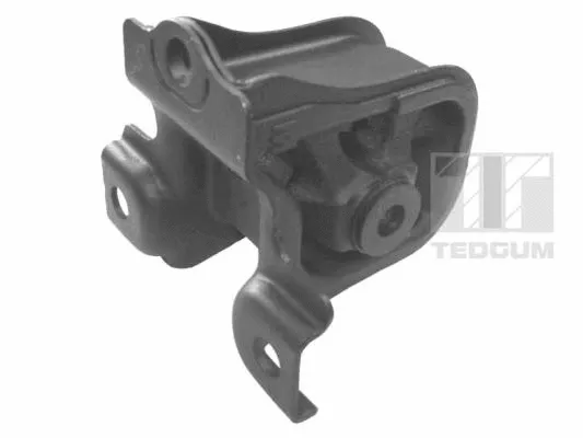 Variklio montavimas TEDGUM 00264856