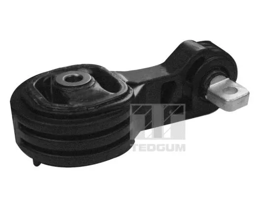 Variklio montavimas TEDGUM 00269388