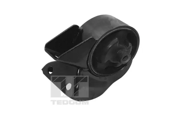 Variklio montavimas TEDGUM 00283523