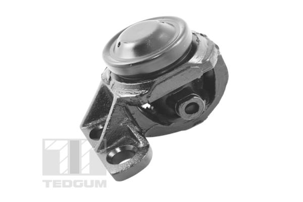 Variklio montavimas TEDGUM 00345623