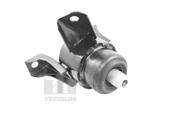 Variklio montavimas TEDGUM 00390515