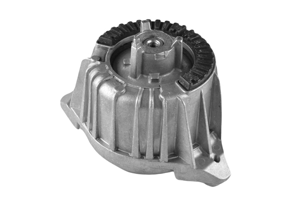 Variklio montavimas TEDGUM 00418473