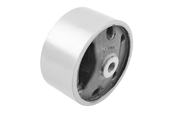 Variklio montavimas TEDGUM 00441123