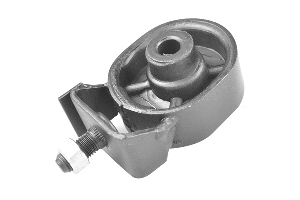 Variklio montavimas TEDGUM 00443494