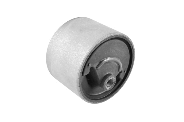 Variklio montavimas TEDGUM 00461068