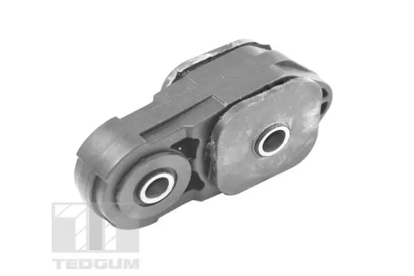 Variklio montavimas TEDGUM 00461492