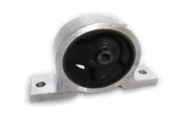 Variklio montavimas TEDGUM 00462159