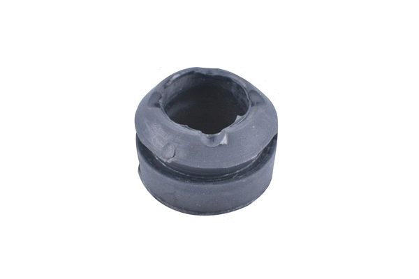 Variklio montavimas TEDGUM 00462402