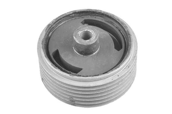 Variklio montavimas TEDGUM 00465204