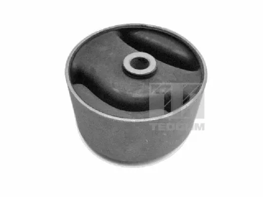 Variklio montavimas TEDGUM 00466409