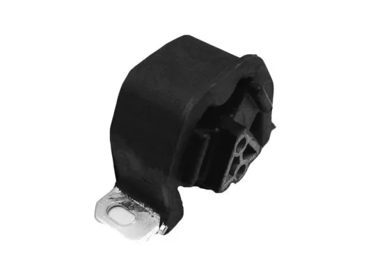 Automatinės transmisijos montavimas TEDGUM 00500604
