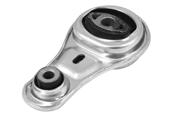 Variklio montavimas TEDGUM 00505675