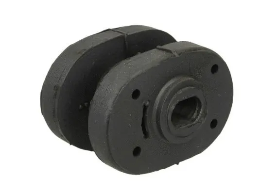 Variklio montavimas TEDGUM 00506025