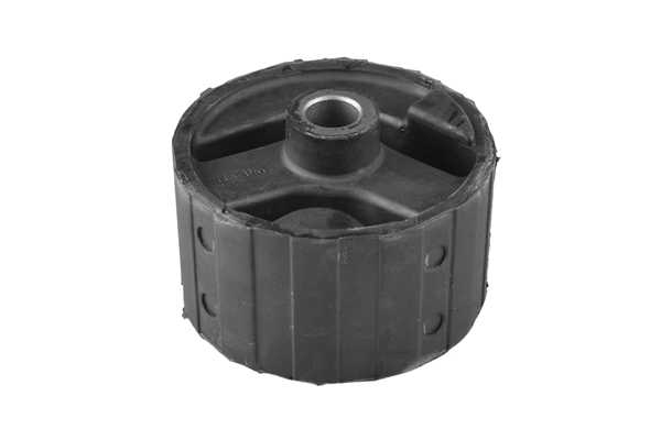 Variklio montavimas TEDGUM 00507916