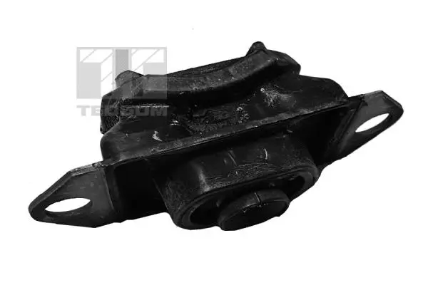 Variklio montavimas TEDGUM 00580818