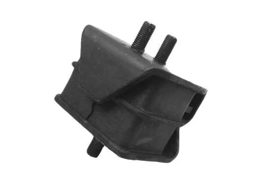 Variklio montavimas TEDGUM 00649862