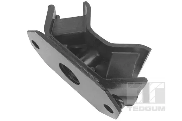 Variklio montavimas TEDGUM 00651901