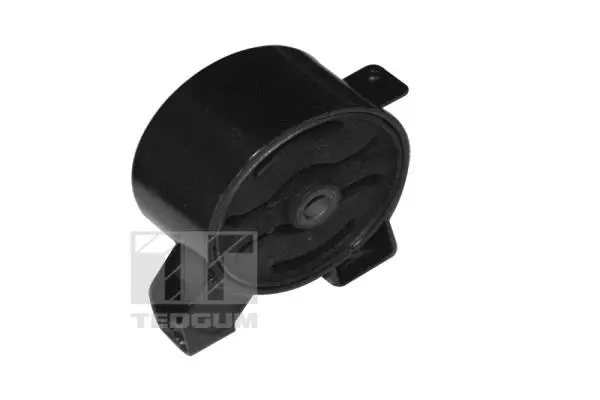 Variklio montavimas TEDGUM 00651904