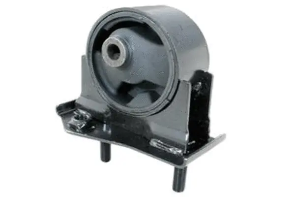 Variklio montavimas TEDGUM 00672222