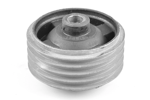 Variklio montavimas TEDGUM 00673071
